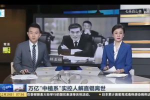 毛阿敏老公解直锟个人资料 毛阿敏老公260亿遗产给了谁？